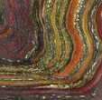 Polished Tiger Iron Stromatolite - ( Billion Years) #92945-1